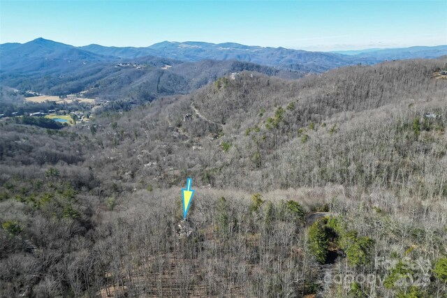 bird's eye view featuring a view of trees and a mountain view