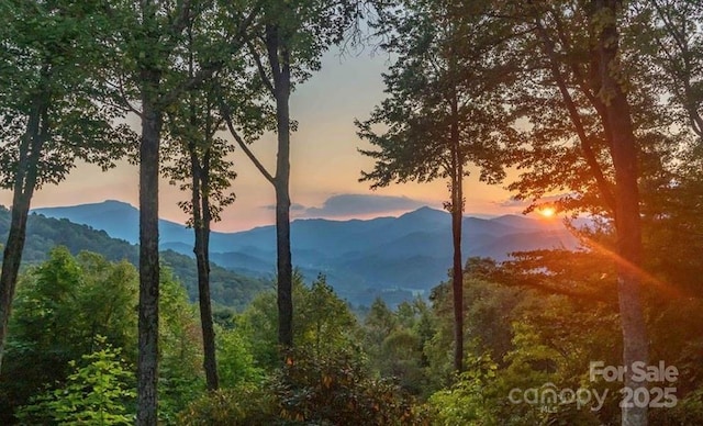 243 Red Oak Trl, Boone, NC 28607 - view of mountain backdrop