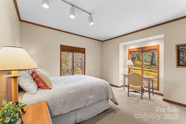 243 Red Oak Trl, Boone, NC 28607 - bedroom with baseboards, carpet, crown molding, and multiple windows
