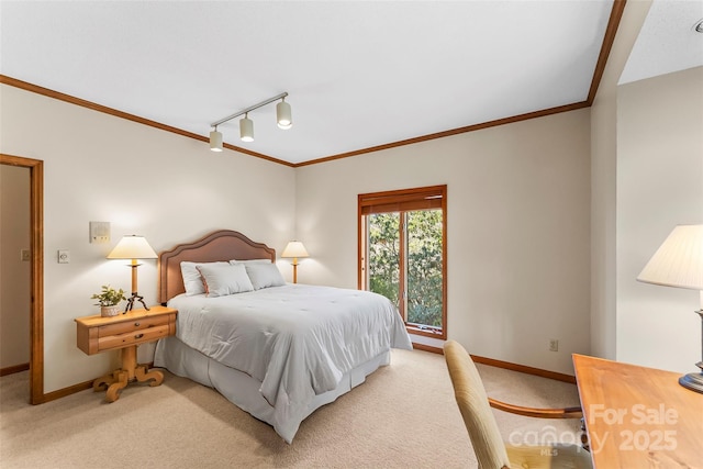 243 Red Oak Trl, Boone, NC 28607 - bedroom featuring track lighting, ornamental molding, light carpet, and baseboards