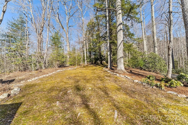 243 Red Oak Trl, Boone, NC 28607 - view of yard