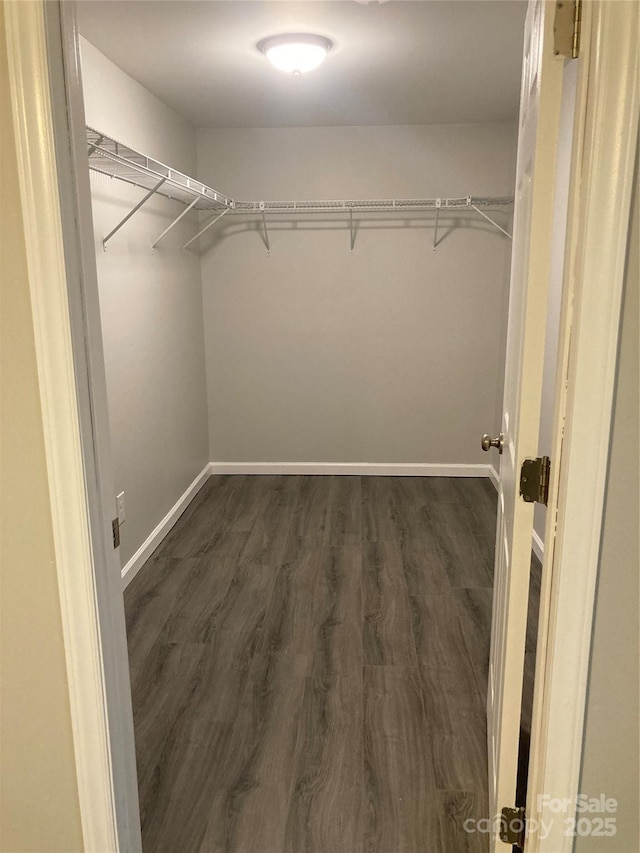 spacious closet featuring dark wood-style flooring