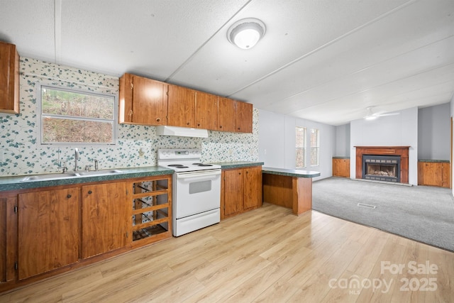 kitchen with a sink, under cabinet range hood, brown cabinets, and electric stove