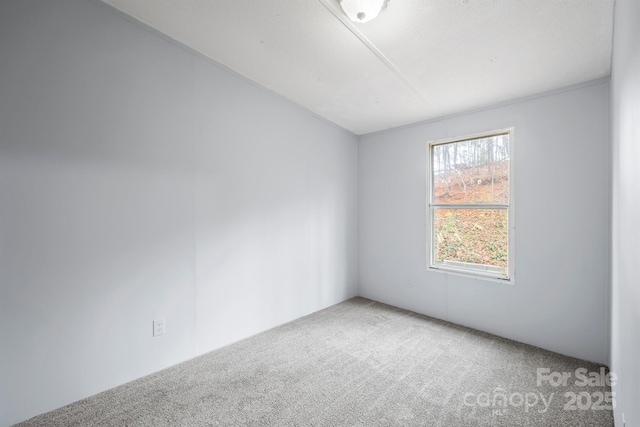 unfurnished room featuring carpet flooring