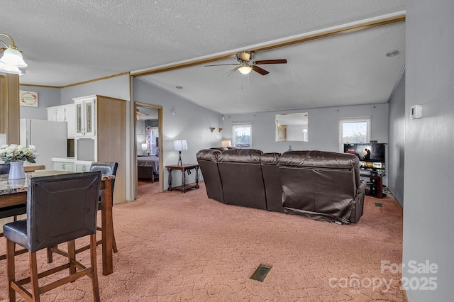 living area featuring lofted ceiling, light colored carpet, plenty of natural light, and a textured ceiling