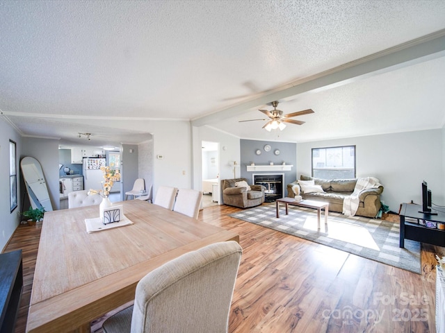 dining room featuring wood finished floors, ornamental molding, ceiling fan, a textured ceiling, and a glass covered fireplace