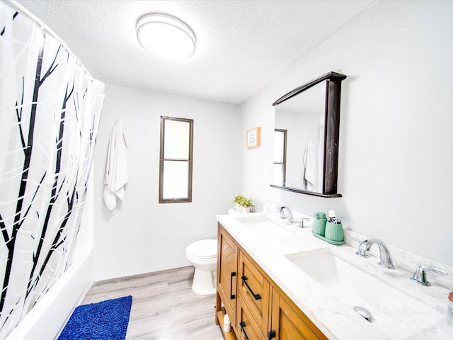 bathroom with wood finished floors, toilet, a textured ceiling, and a sink