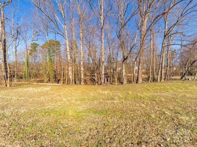 view of yard with a forest view