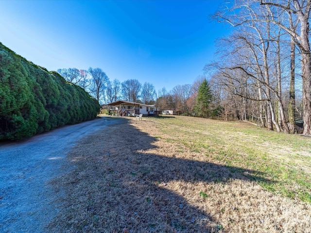 view of yard with a forest view