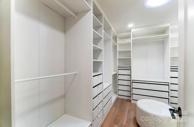 spacious closet with light wood finished floors