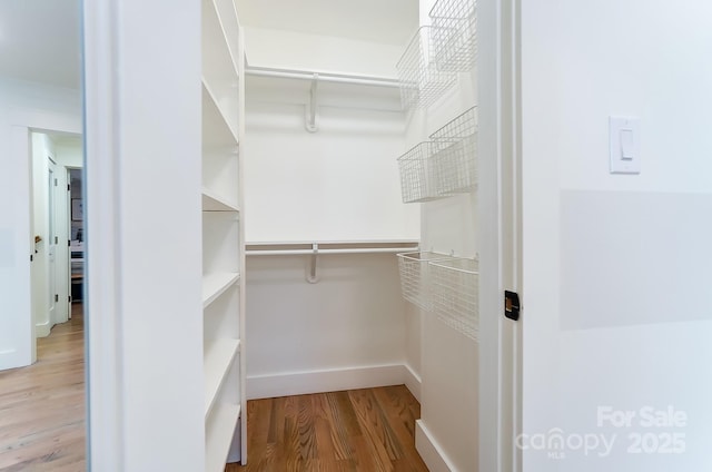 spacious closet featuring wood finished floors