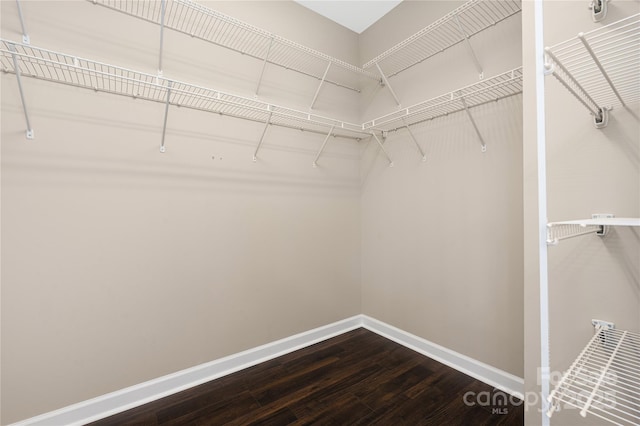 walk in closet with dark wood-style floors