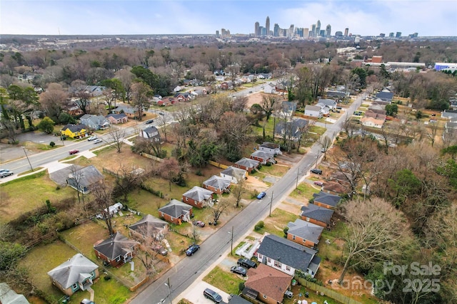 bird's eye view