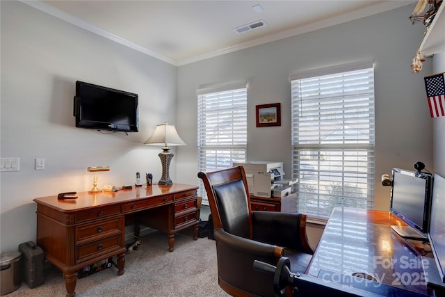 carpeted home office featuring visible vents and crown molding