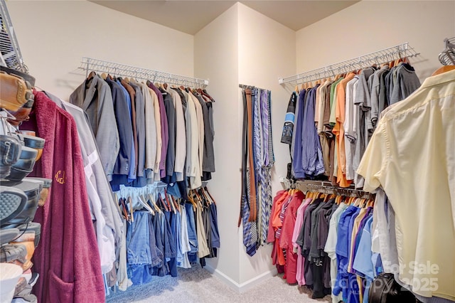 walk in closet featuring carpet floors