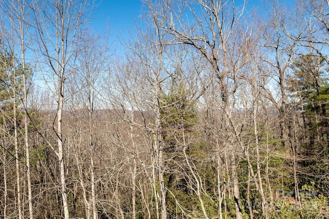 view of landscape featuring a wooded view