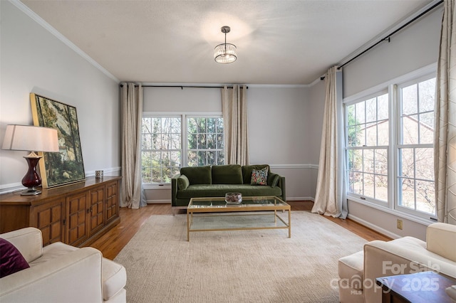 living room with baseboards, wood finished floors, and crown molding