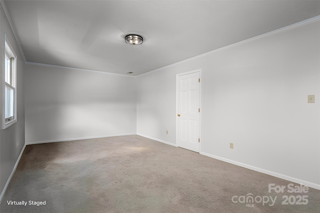 spare room with baseboards, carpet, and crown molding