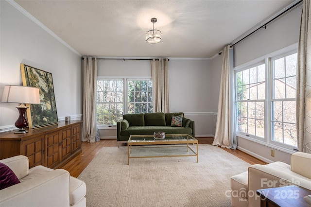 107 Doris Ct, Lincolnton, NC 28092 - living room with plenty of natural light, wood finished floors, ornamental molding, and baseboards