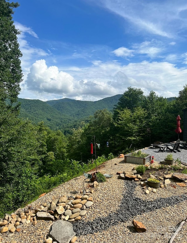 mountain view with a forest view