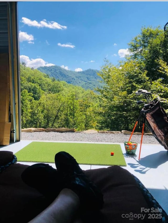 property view of mountains featuring a forest view