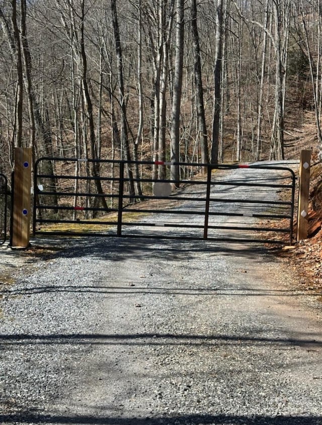 view of street with a gated entry and a gate