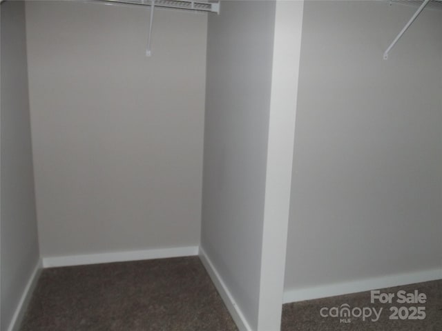 walk in closet with dark colored carpet