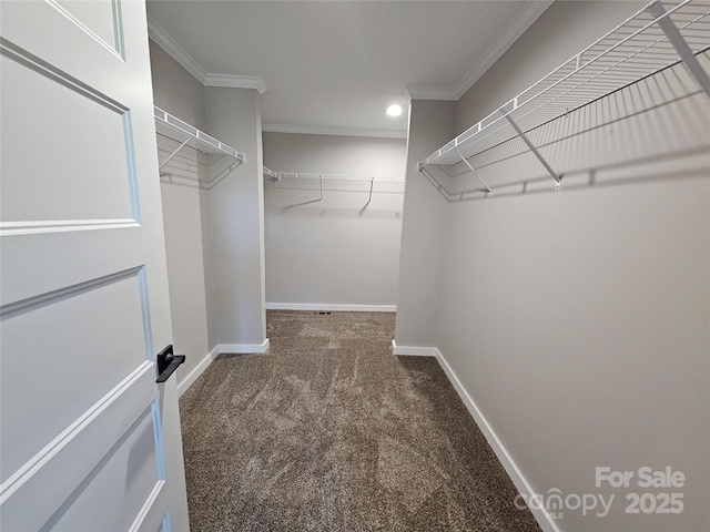 784 Severt Cir NE, Lenoir, NC 28645 - walk in closet featuring carpet flooring
