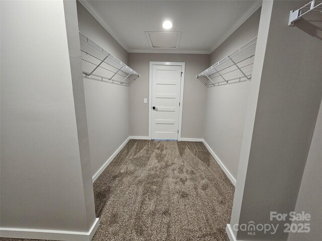 784 Severt Cir NE, Lenoir, NC 28645 - spacious closet featuring carpet floors