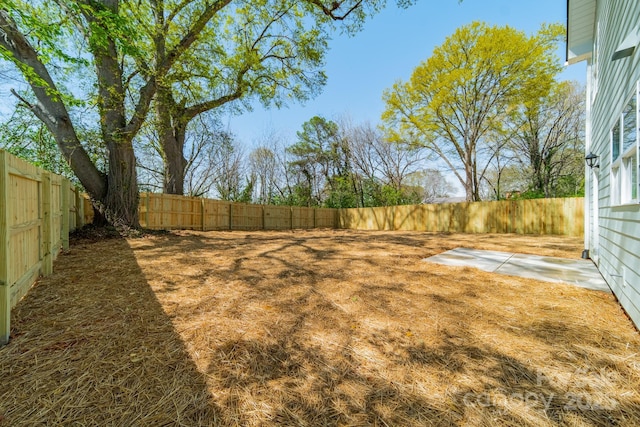 view of yard with a patio area and a fenced backyard