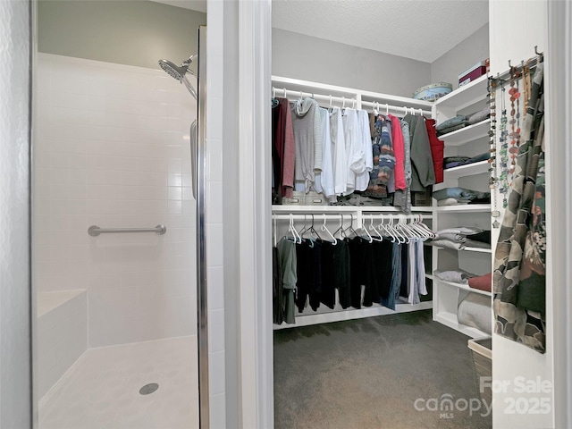 spacious closet with carpet floors