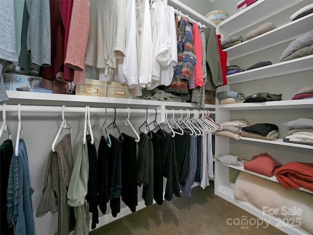 spacious closet with carpet