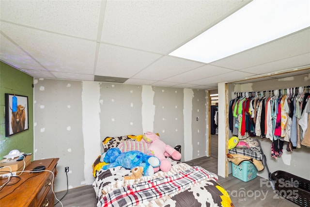 bedroom with a paneled ceiling, a closet, and wood finished floors