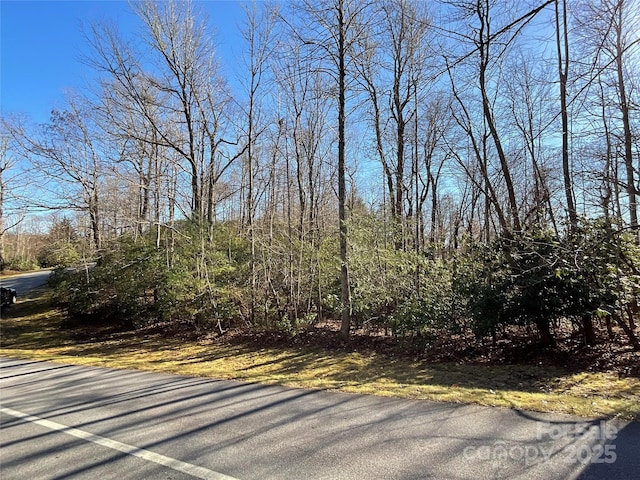 LOT.129 Inoli Cir Unit 129/7, Brevard NC, 28712 land for sale