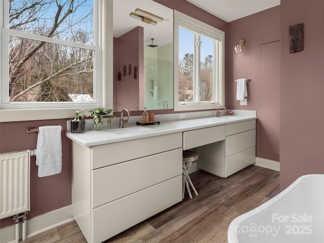 bathroom featuring double vanity, wood finished floors, a shower, and a sink