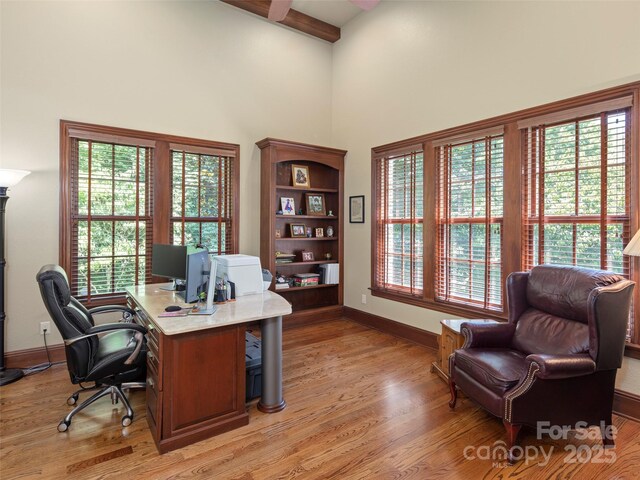 28 Beadle Ln, Asheville, NC 28803 - photo 32