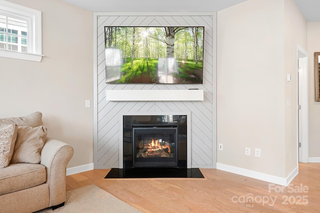 room details with a large fireplace, wood finished floors, and baseboards