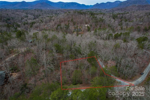 0000 Bear Run Ave Unit 175, Lake Lure NC, 28746 land for sale