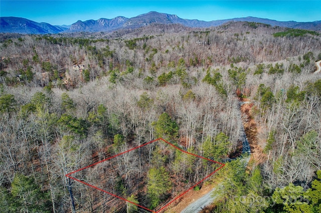 Listing photo 3 for 0000 Bear Run Ave Unit 175, Lake Lure NC 28746