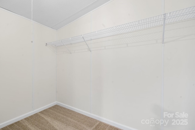 spacious closet featuring light colored carpet