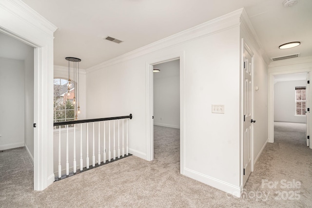 hall with carpet floors, a wealth of natural light, visible vents, and crown molding