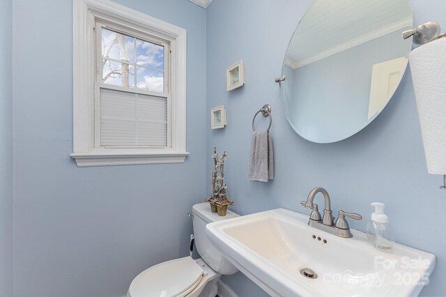 half bathroom featuring ornamental molding, a sink, and toilet
