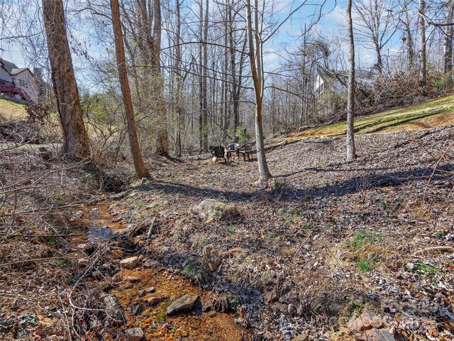 view of local wilderness featuring a view of trees