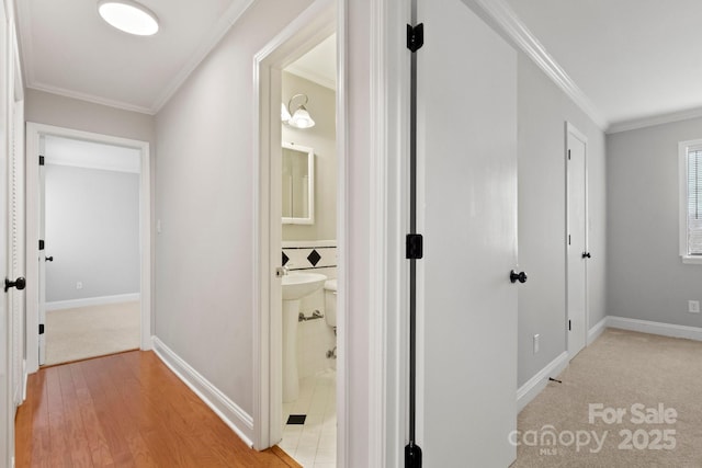 hall with baseboards, light wood-style flooring, and crown molding