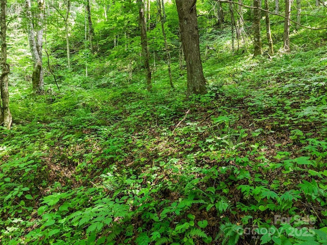 00 Old Sawmill Rd, Burnsville, NC 28714