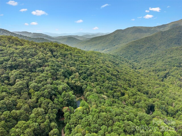 00 Old Sawmill Rd, Burnsville, NC 28714