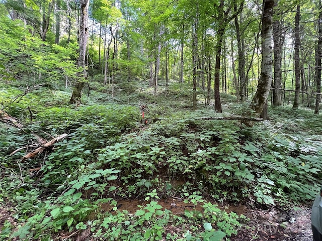 00 Old Sawmill Rd, Burnsville, NC 28714