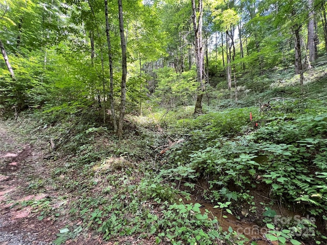 00 Old Sawmill Rd, Burnsville, NC 28714