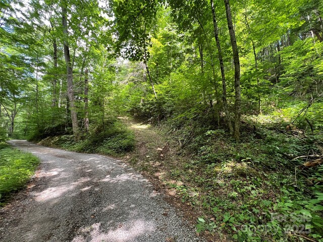 00 Old Sawmill Rd, Burnsville, NC 28714