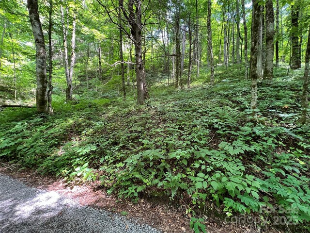 00 Old Sawmill Rd, Burnsville, NC 28714